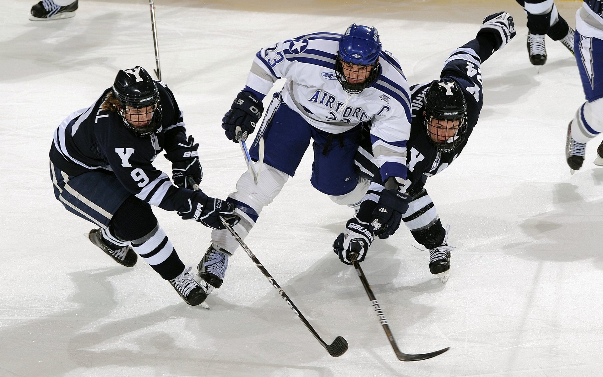 中国足球国际培训基地项目启动，打造专业人才输出平台，中国足协足球训练中心