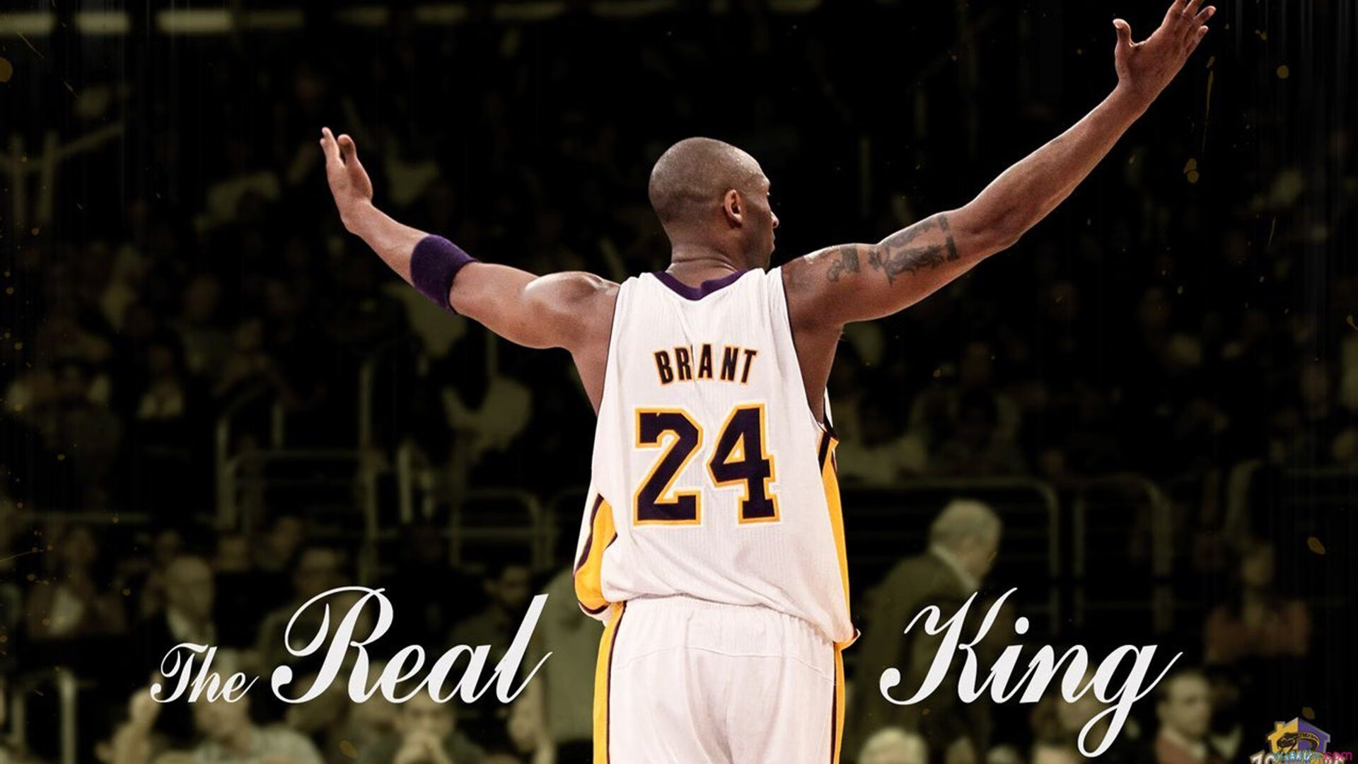 委内瑞拉队壮志凌云,晋级淘汰赛,委内瑞拉球队